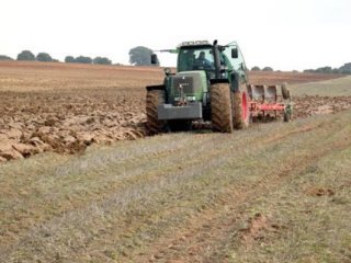 rural (14)  CAMPO ESPAMICA